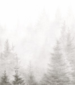 BelleverTor/Dartmoor/Mist/PinConifer/Drawing/Pencil/Graphite/NationalPark/Tor/Christmas