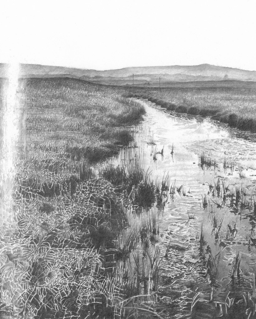 middlebereheath/purbeck/dorset/water/channel/grass/autumnlight/drawing/nature/pencil/graphite