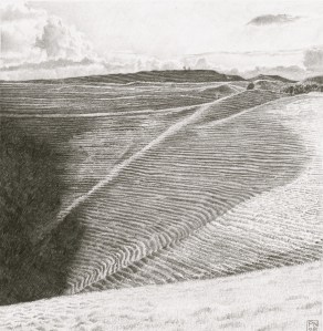 eggardon/hardy/westdorset/aonb/hillfort/sheeptracks/shadow/contrast/tone/drawing/pencil/graphite