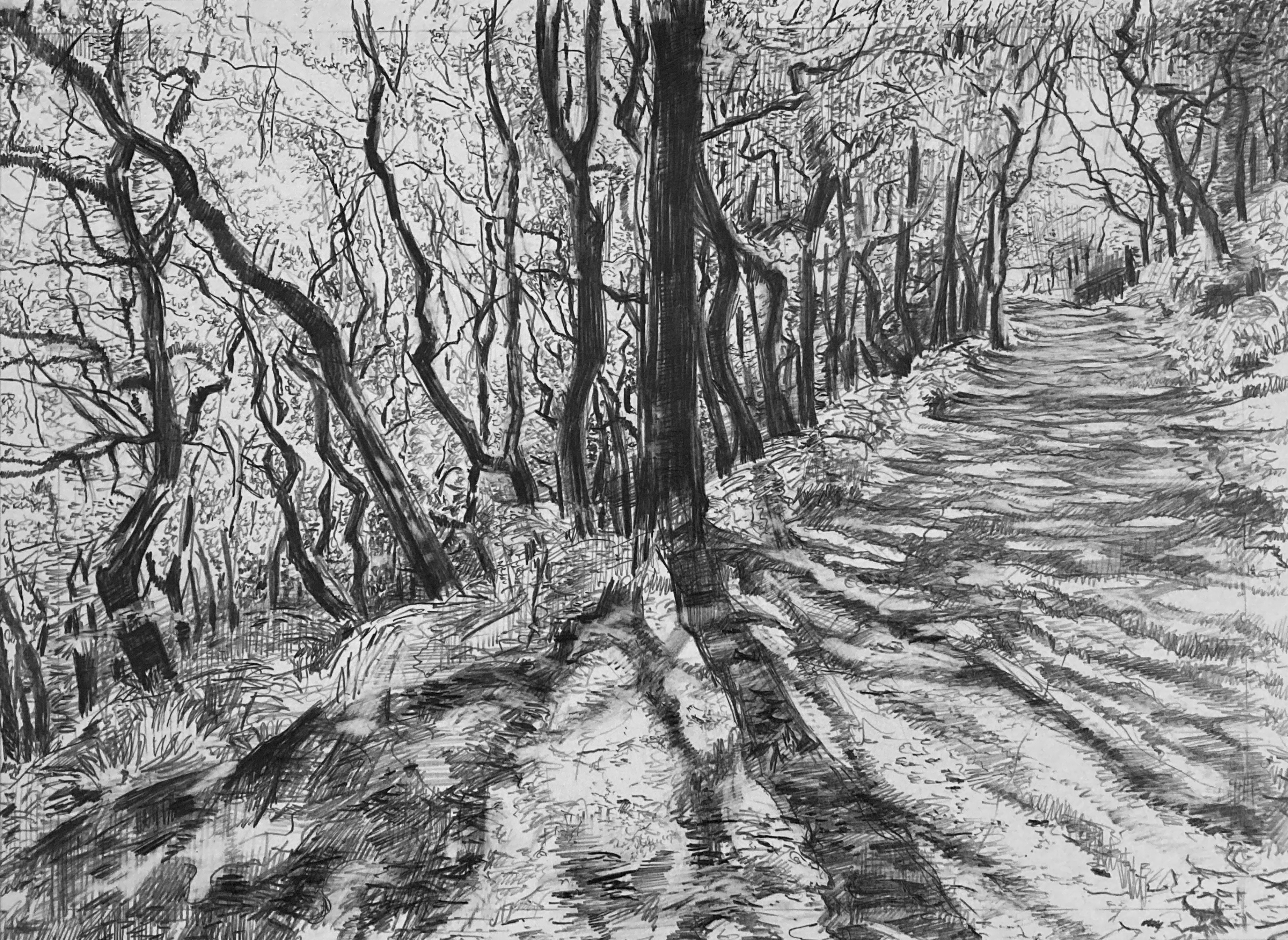 PaulNewman_LateSummerLight_13x17.5cm